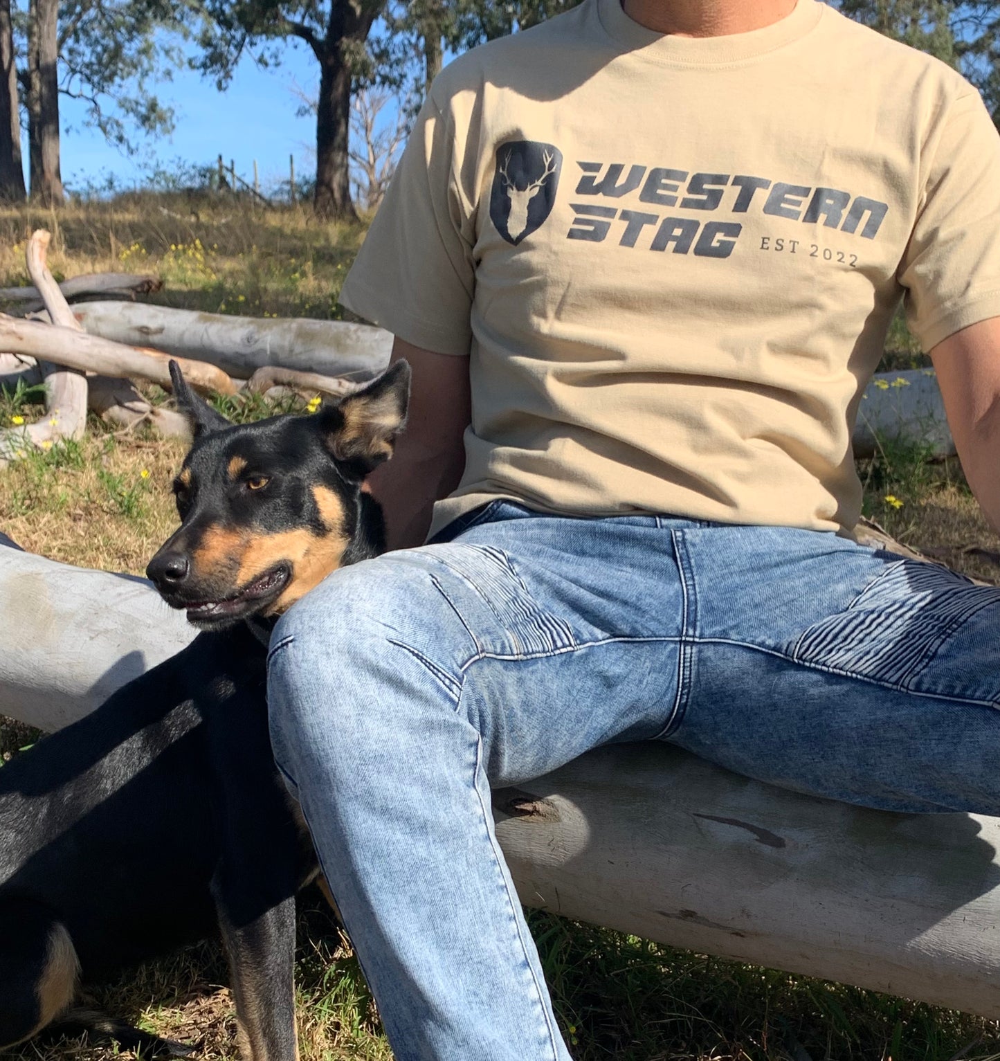 Western Stag unisex tan t-shirt